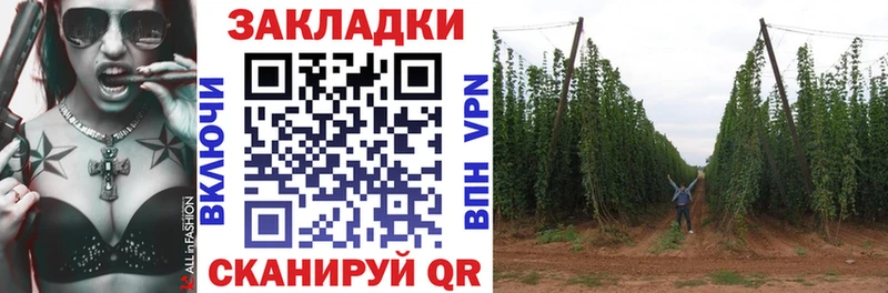 Где купить Элиста A-PVP  Меф  ГАШ  Кокаин 