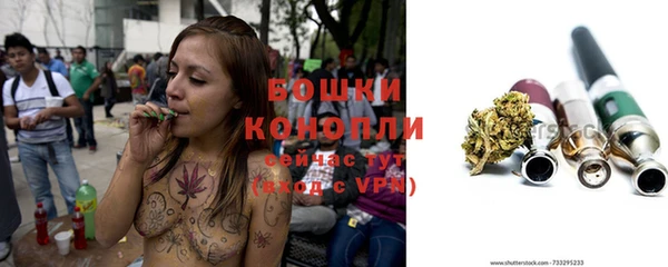 прущая мука Каменногорск
