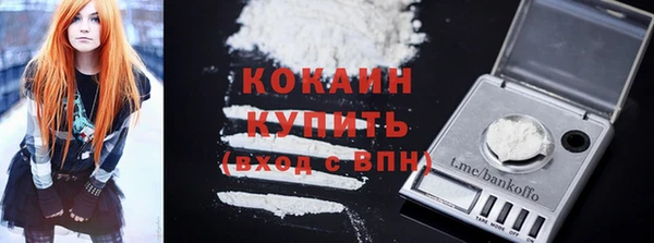 гидра Каменка