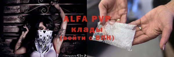 гидра Каменка
