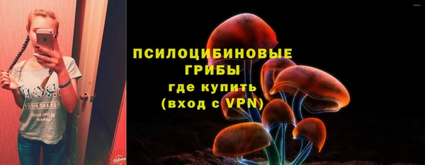 соль ск Инта