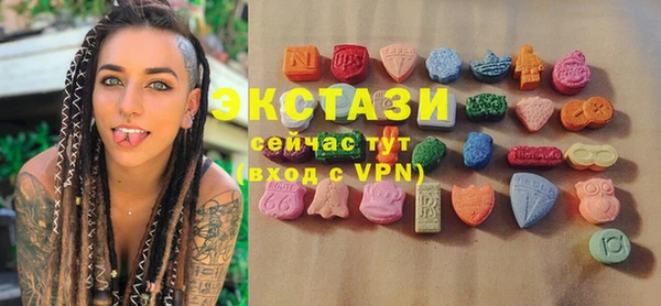 гидра Каменка