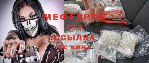 гидра Каменка