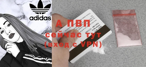 соль ск Инта