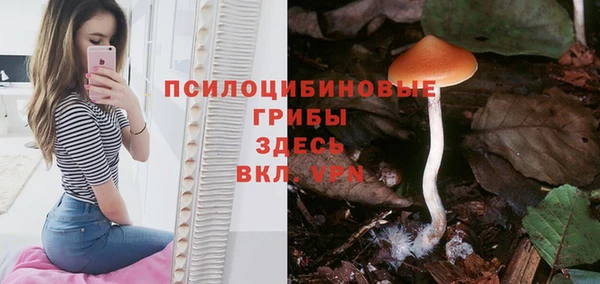 прущая мука Каменногорск
