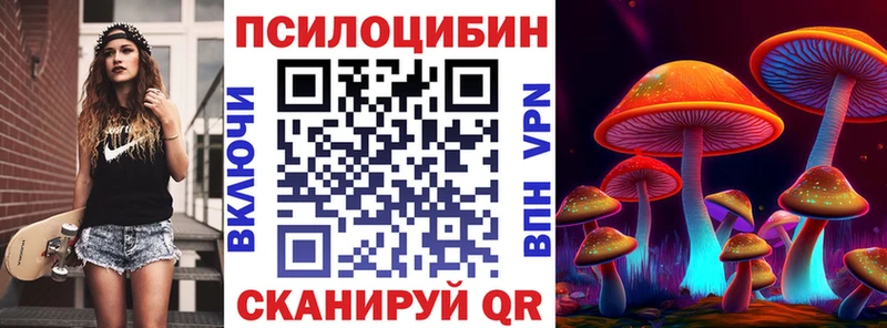 Псилоцибиновые грибы мухоморы  ОМГ ОМГ маркетплейс  Элиста 